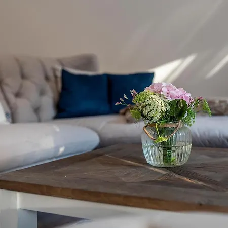 Treibholz 2 * زنغست