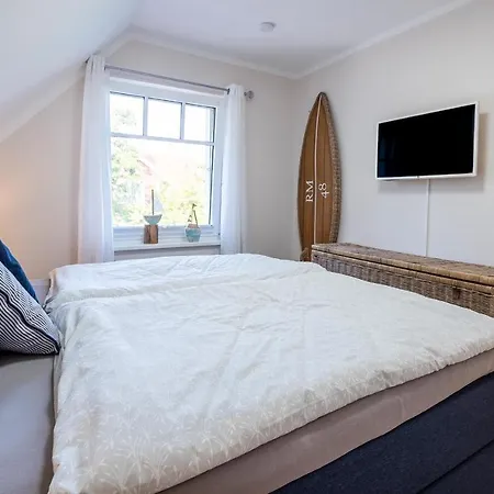 Treibholz 2 زنغست