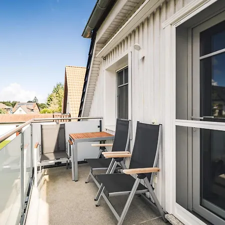 Treibholz 2 Zingst